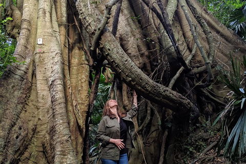Erupting Blowholes And Ancient Rainforests With 'Personalised Sydney Tours' - Great Ocean Road Tourism 4