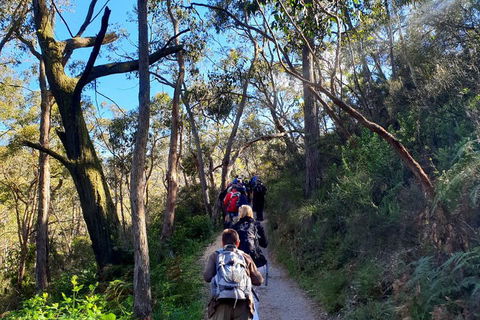 Self-Guided Waterfall Gully To Mount Lofty Hike From Adelaide - Great Ocean Road Tourism 1