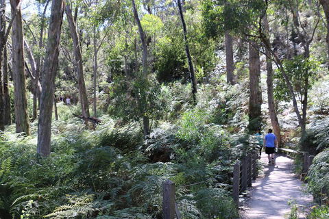 Self-Guided Waterfall Gully To Mount Lofty Hike From Adelaide - Great Ocean Road Tourism 2