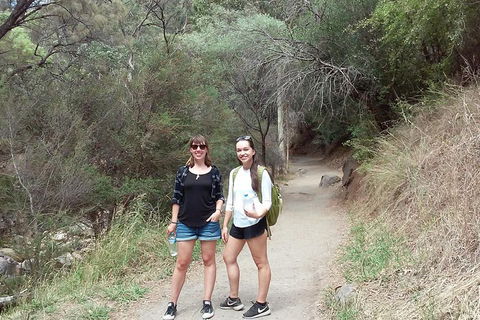 Self-Guided Waterfall Gully To Mount Lofty Hike From Adelaide - Great Ocean Road Tourism 4