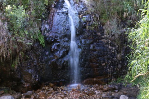 Self-Guided Waterfall Gully To Mount Lofty Hike From Adelaide - Great Ocean Road Tourism 5