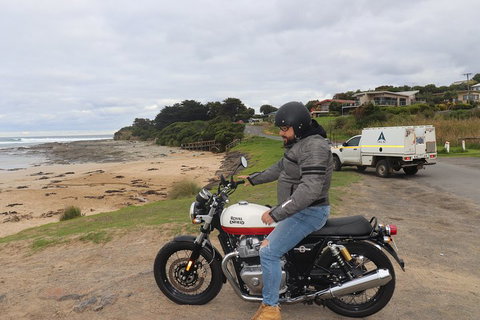 Royal Enfield Interceptor 650cc - Great Ocean Road Tourism 3