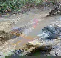 Top End Waterfalls and Wetlands - Great Ocean Road Tourism