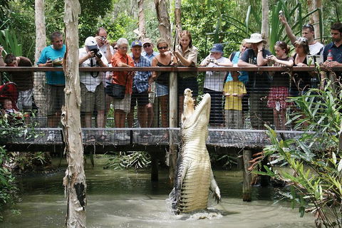 Hartley's Crocodile Adventure Half-Day Tour - Great Ocean Road Tourism 1