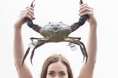 The Ultimate Gold Coast Attractions Pass - Great Ocean Road Tourism 0