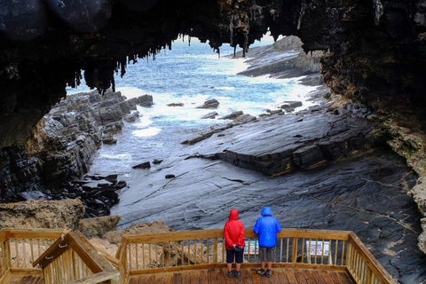 Full-Day Kangaroo Island Safari From Penneshaw - Great Ocean Road Tourism 1