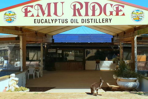 Full-Day Kangaroo Island Safari From Penneshaw - Great Ocean Road Tourism 2