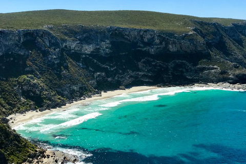 Kangaroo Island Scenic Trail Tour - Great Ocean Road Tourism 4