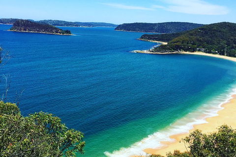 Central Coast Private Tour From Sydney, With Australian Reptile Park Option - Great Ocean Road Tourism 5