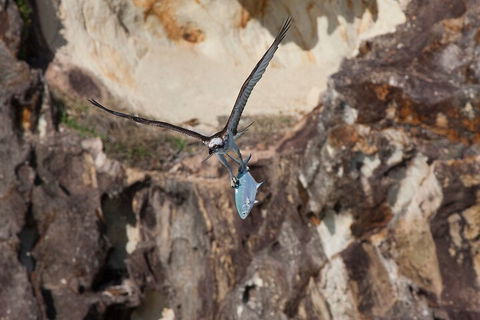 North Stradbroke Island Private Tour With Pickup - Great Ocean Road Tourism 2