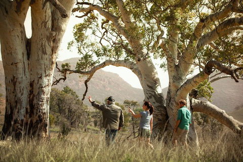Yura Udnyu - Our Culture, Your Culture (Aboriginal Cultural Walk) - Great Ocean Road Tourism 5