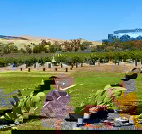 Private Picnic and Wine Tasting Experience in Barossa Valley - Great Ocean Road Tourism