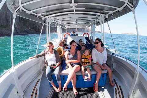 Seal Island Boat Tour From Victor Harbor - Great Ocean Road Tourism 1