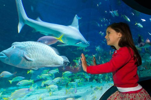 Melbourne BIG Ticket - LEGOLAND Discovery And SEA LIFE Melbourne - Great Ocean Road Tourism 1