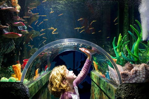 Melbourne BIG Ticket - LEGOLAND Discovery And SEA LIFE Melbourne - Great Ocean Road Tourism 2