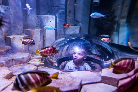 Melbourne BIG Ticket - LEGOLAND Discovery And SEA LIFE Melbourne - Great Ocean Road Tourism 5