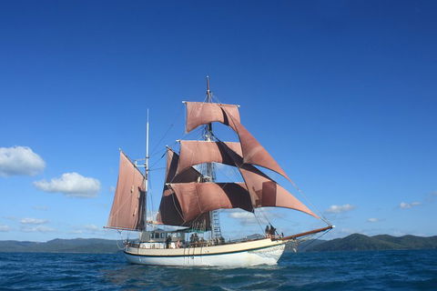 Sydney Harbour Tall Ship Whale & Sail - Whale Watching Cruise - Great Ocean Road Tourism 1