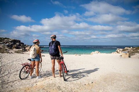 Experience Rottnest With Ferry & Bike Hire From Perth Or Fremantle - Great Ocean Road Tourism 5