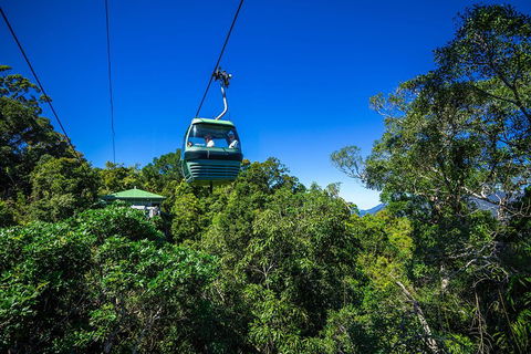 Classic Kuranda By Skyrail And Scenic Railway Including Rainforestation, Koala And Wildlife Park And Pamagirri Aboriginal Experi - Great Ocean Road Tourism 0