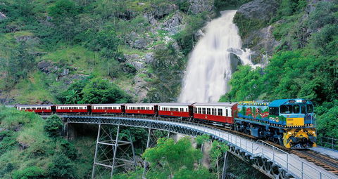 Classic Kuranda By Skyrail And Scenic Railway Including Rainforestation, Koala And Wildlife Park And Pamagirri Aboriginal Experi - Great Ocean Road Tourism 1