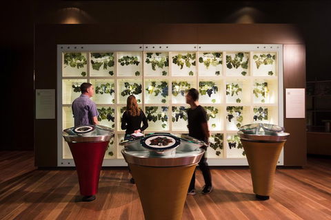 Australian Wine Discovery Tour With Tastings - Great Ocean Road Tourism 4