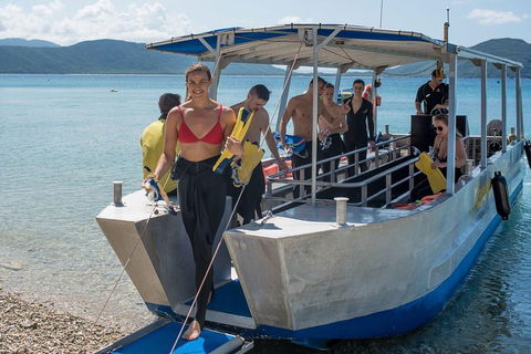 Fitzroy Island Day Trip From Cairns - Great Ocean Road Tourism 5