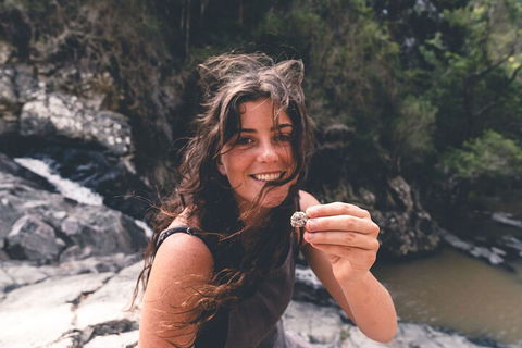 Springbrook AndTamborine Rainforest Tour Incl Natural Bridge And Glow Worm Cave - Great Ocean Road Tourism 1