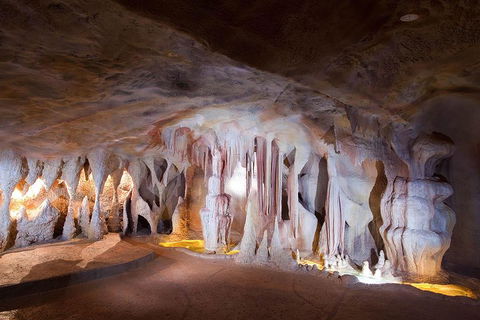 Springbrook AndTamborine Rainforest Tour Incl Natural Bridge And Glow Worm Cave - Great Ocean Road Tourism 4