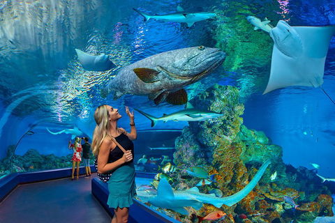 Cairns Aquarium Admission Ticket - Great Ocean Road Tourism 3