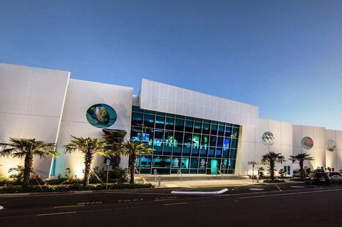Cairns Aquarium Admission Ticket - Great Ocean Road Tourism 4