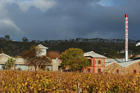 Penfolds Magill Estate Iconic Experience - Great Ocean Road Tourism 3