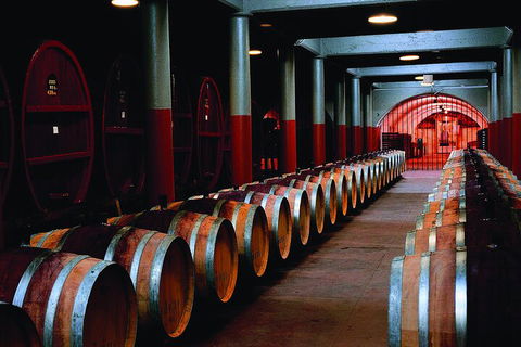 Penfolds Magill Estate Iconic Experience - Great Ocean Road Tourism 4
