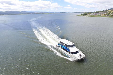 2.5 Hour Morning Discovery Cruise Including Sailing Into The Cataract Gorge - Great Ocean Road Tourism 2