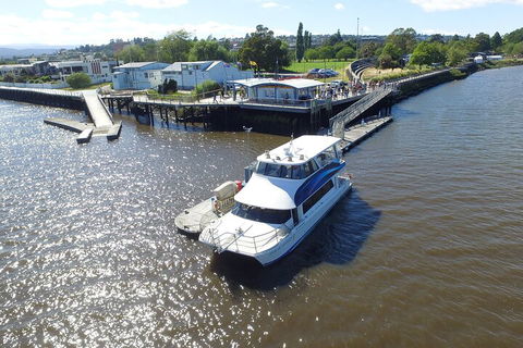 2.5 Hour Morning Discovery Cruise Including Sailing Into The Cataract Gorge - Great Ocean Road Tourism 3