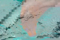 Wilsons Promontory Full Day Cruise