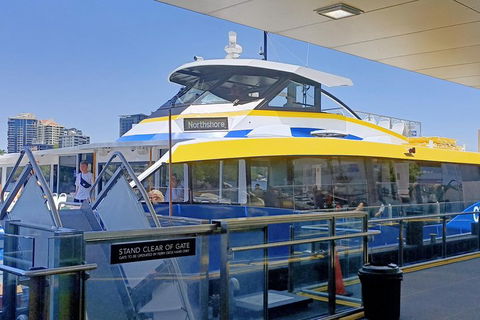 Brisbane City Essentials Walking Tour - Great Ocean Road Tourism 3