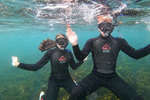 Manly Snorkel Trip And Nature Walk With Local Guide - Great Ocean Road Tourism 3