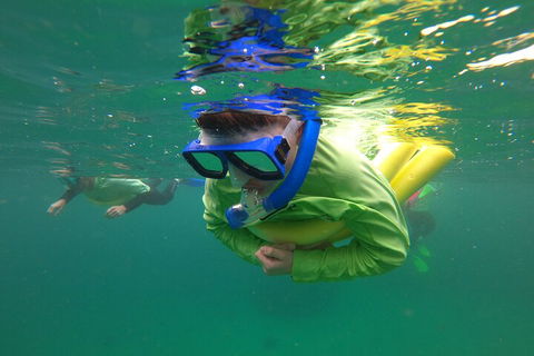 Manly Snorkel Trip And Nature Walk With Local Guide - Great Ocean Road Tourism 5